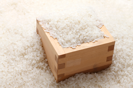 쌀 보관요령