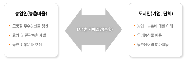 1사1촌마을