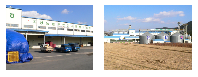 미곡종합처리장